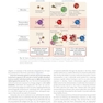 Cellular and Molecular Immunology 11th Edition