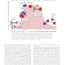 Cellular and Molecular Immunology 11th Edition