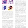 Cellular and Molecular Immunology 11th Edition