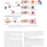 Cellular and Molecular Immunology 11th Edition