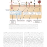 Cellular and Molecular Immunology 11th Edition